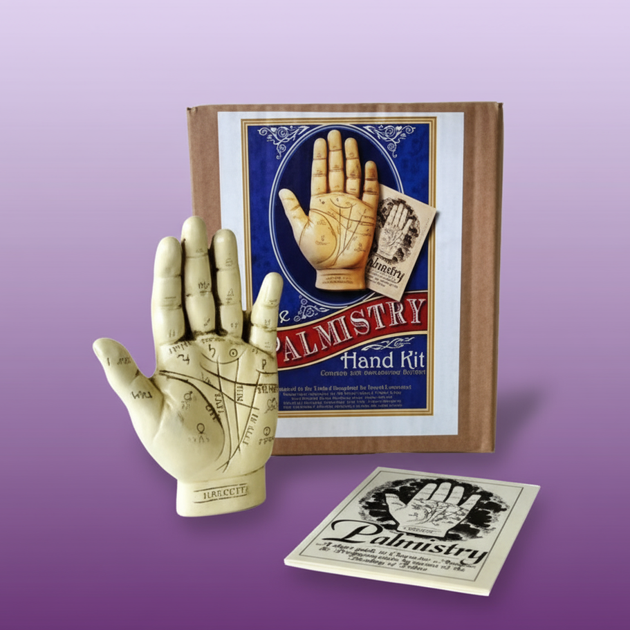 Palmistry Hand Kit - Professional Style