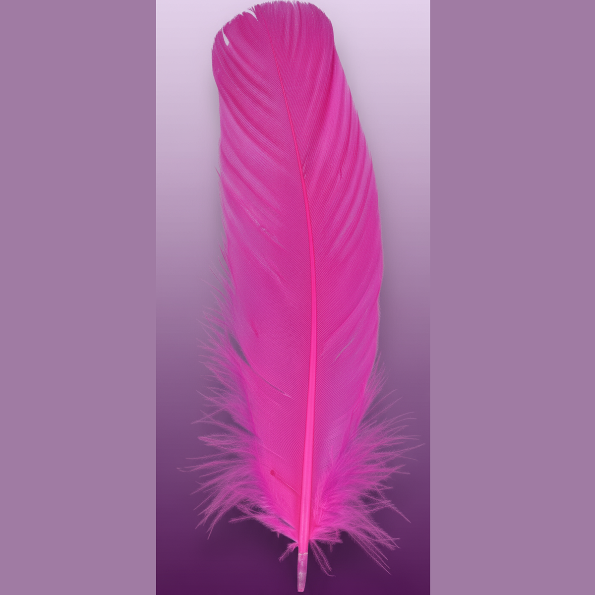 Pink Feather - Professional