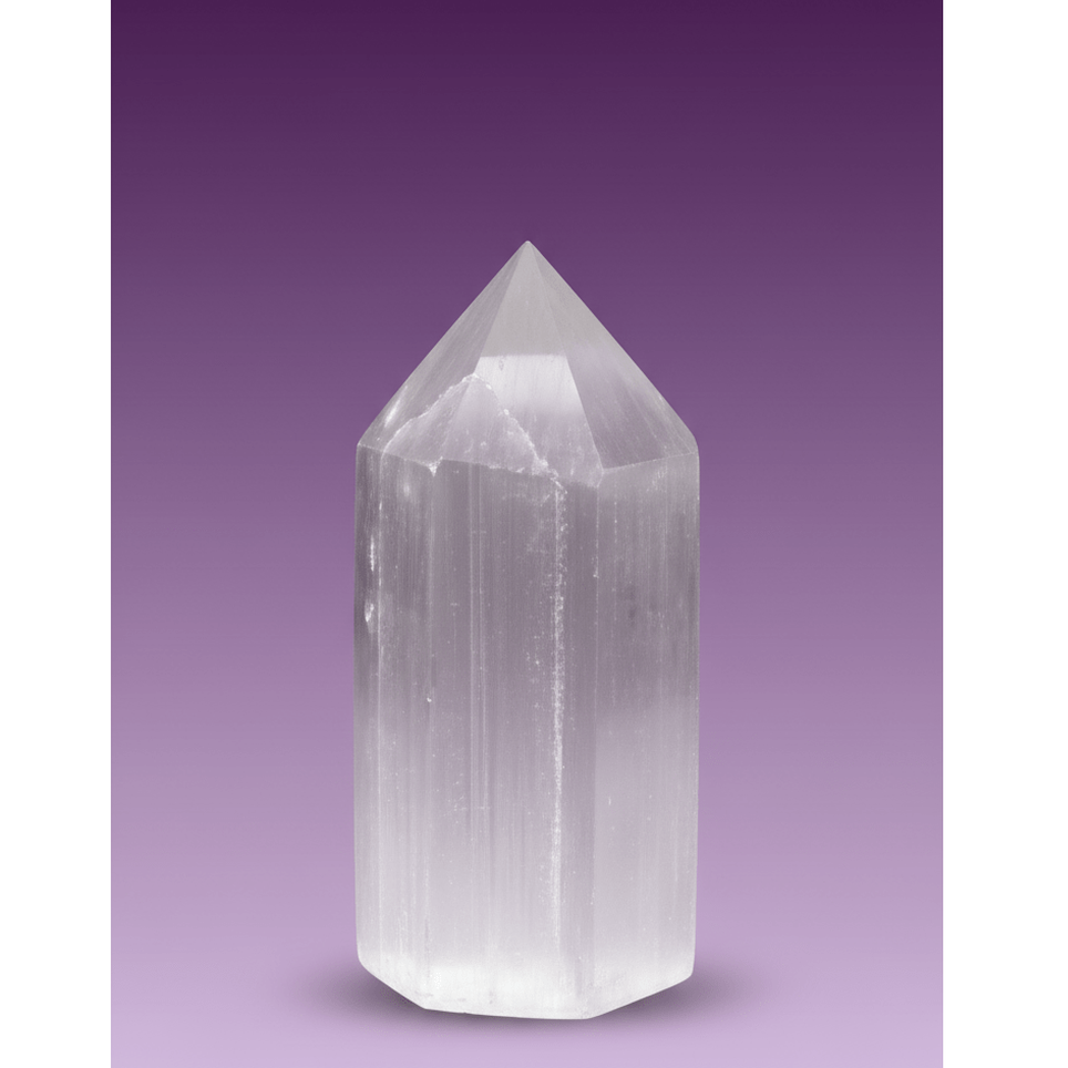 Version 1 - Clean Purple Gradient